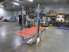 2013 Pizzamatic Band Conveyor